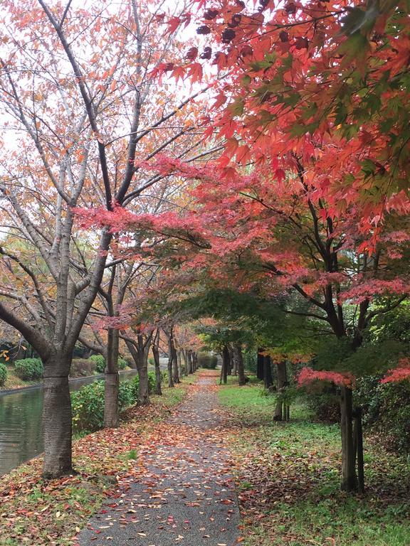 Secret Garden Kyoto Villa Exterior photo